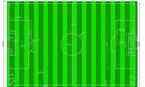 世界杯足球场的面积是7000是真的吗_世界杯足球场地面积约7000